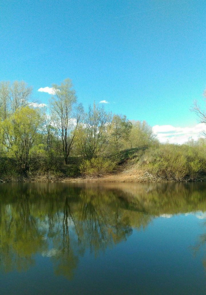 nature