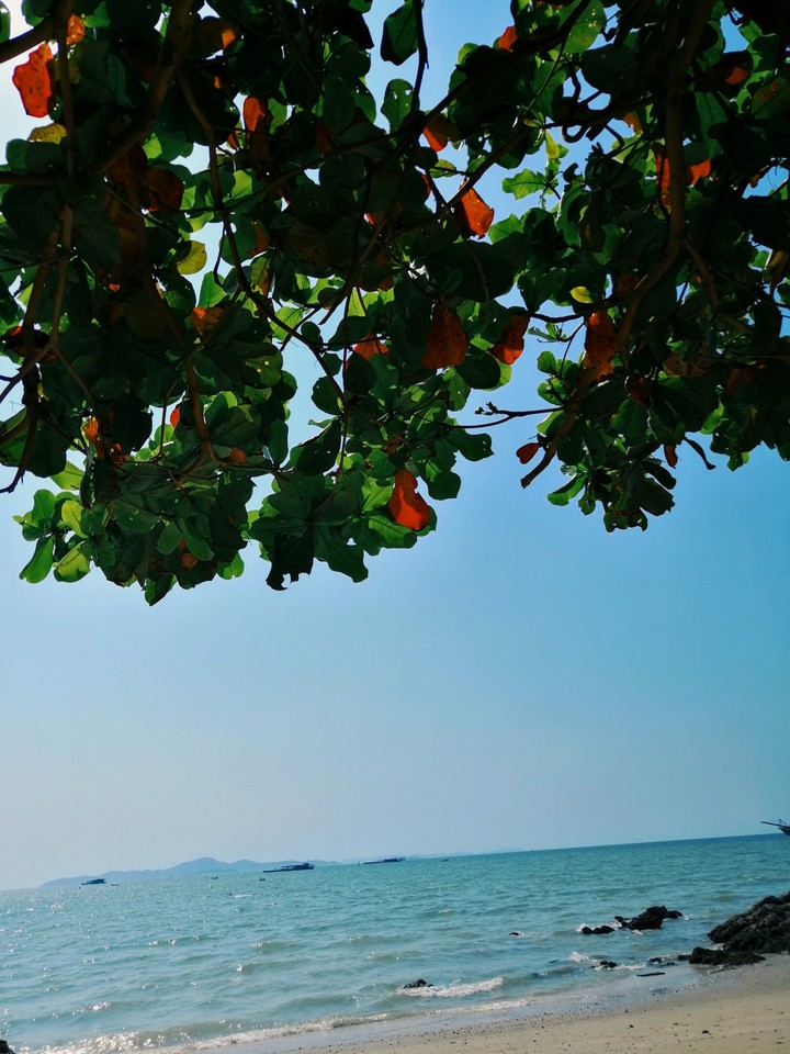 Beach ?