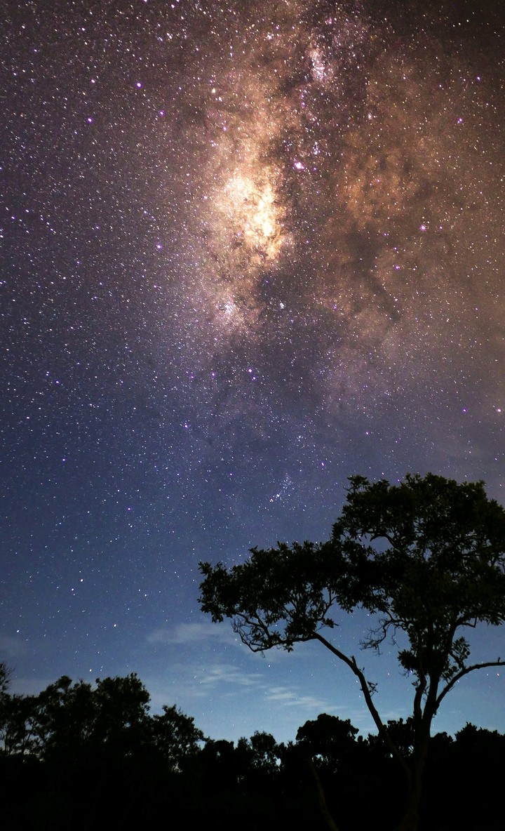 night sky