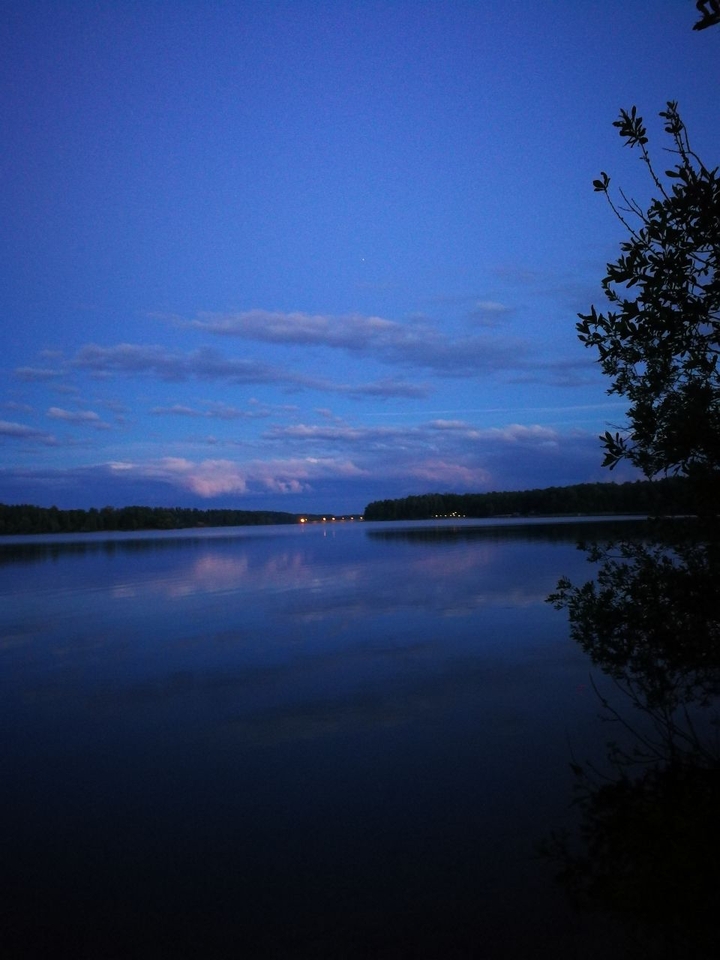 nightsky