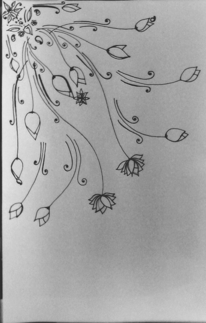 lines.  just lines.