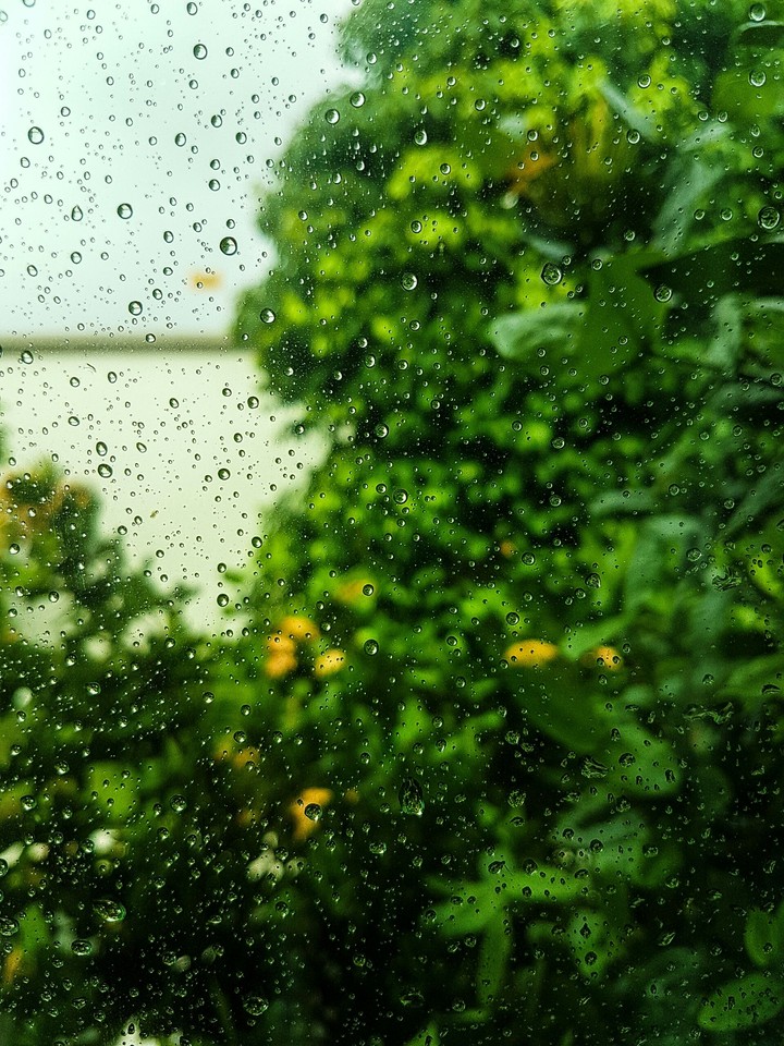 Rain