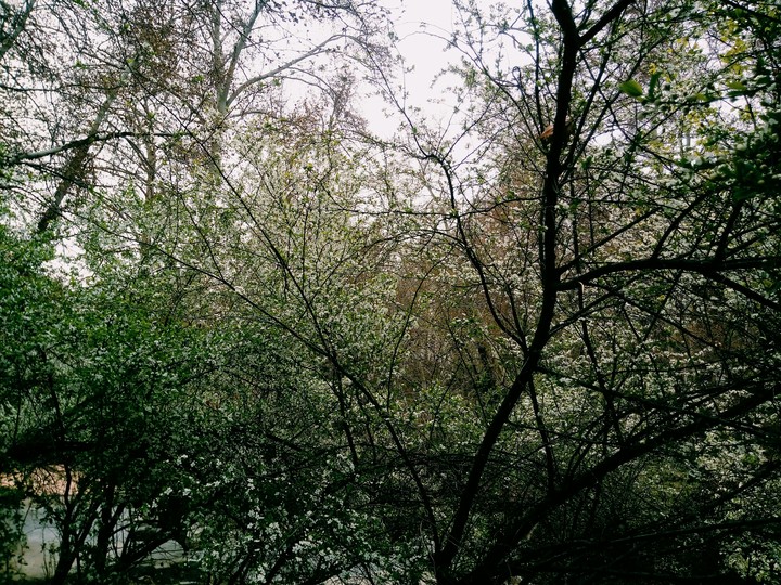 Iran's nature