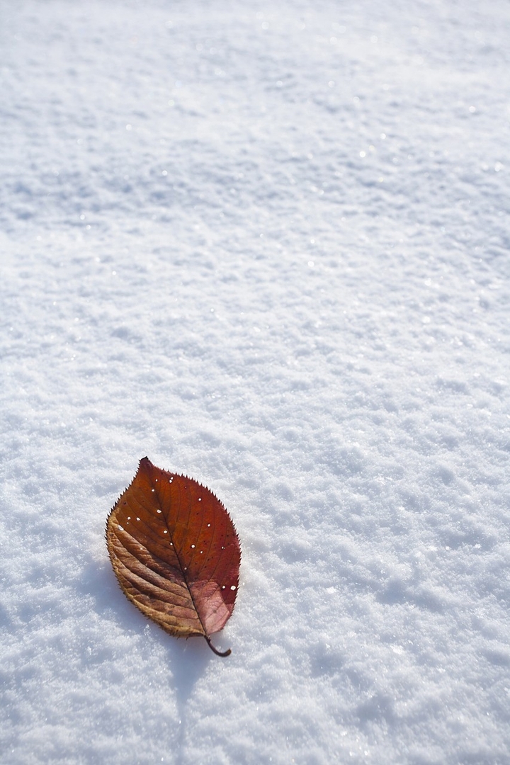 snow