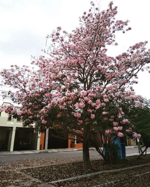 A beautiful day