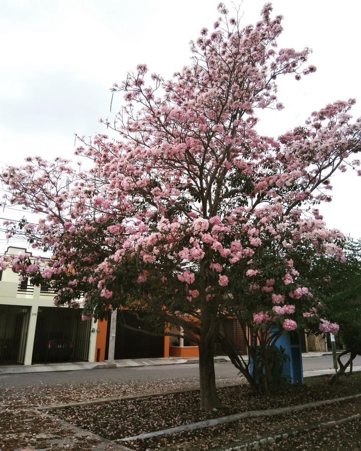 A beautiful day