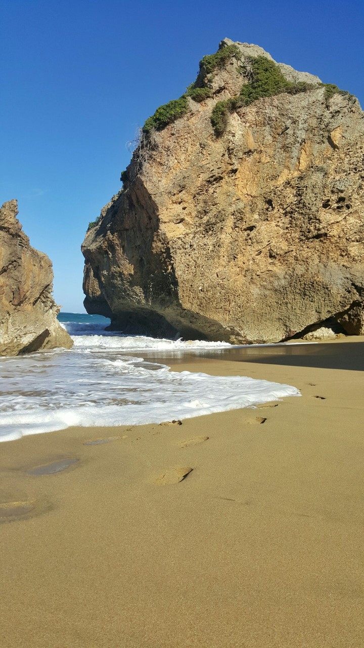 Survival Beach