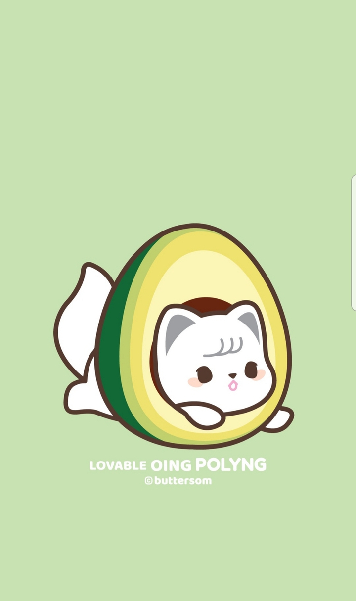 아보카도