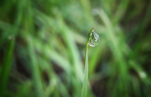 Drop