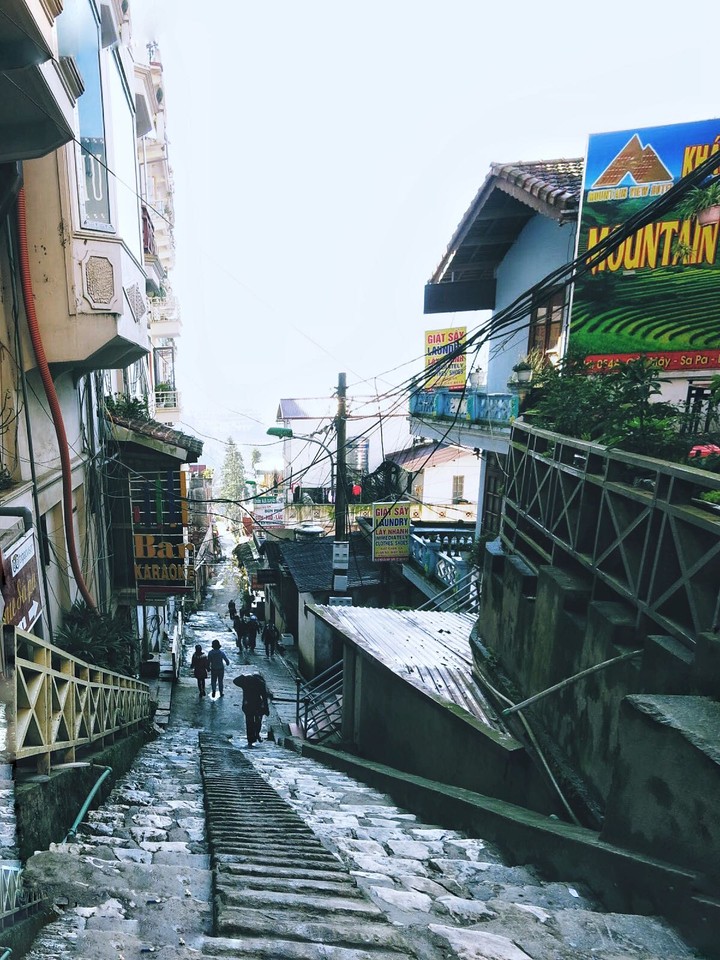 Sapa