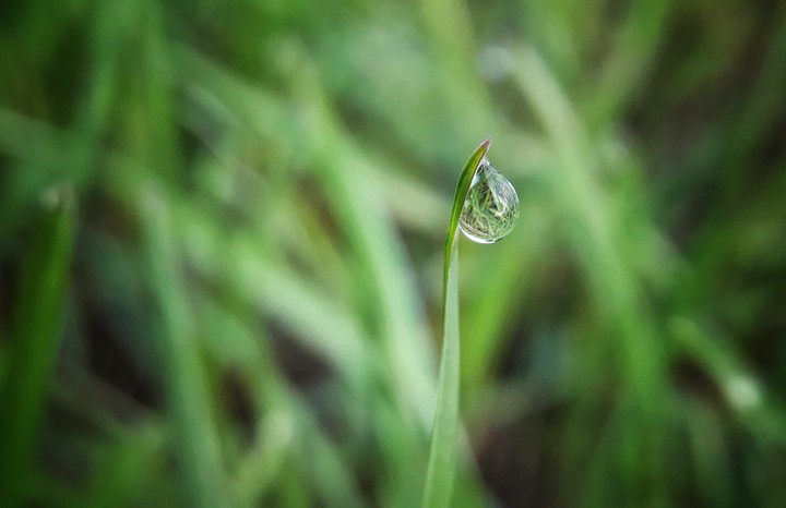 Drop