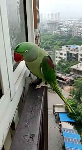 ??????
