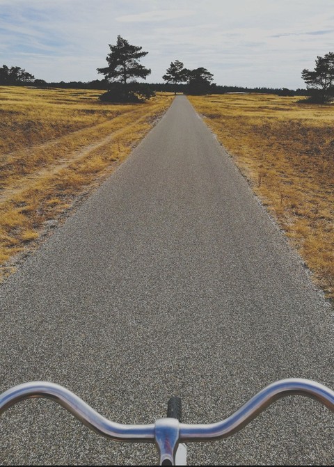 Ballade en vélo