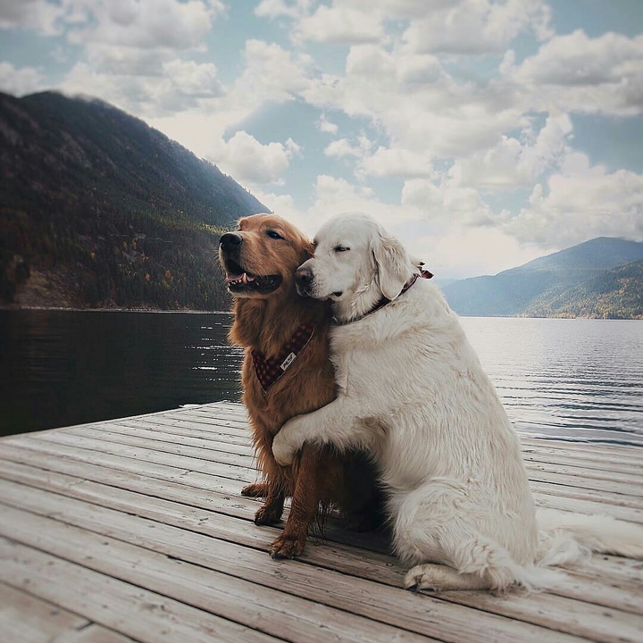 True Love