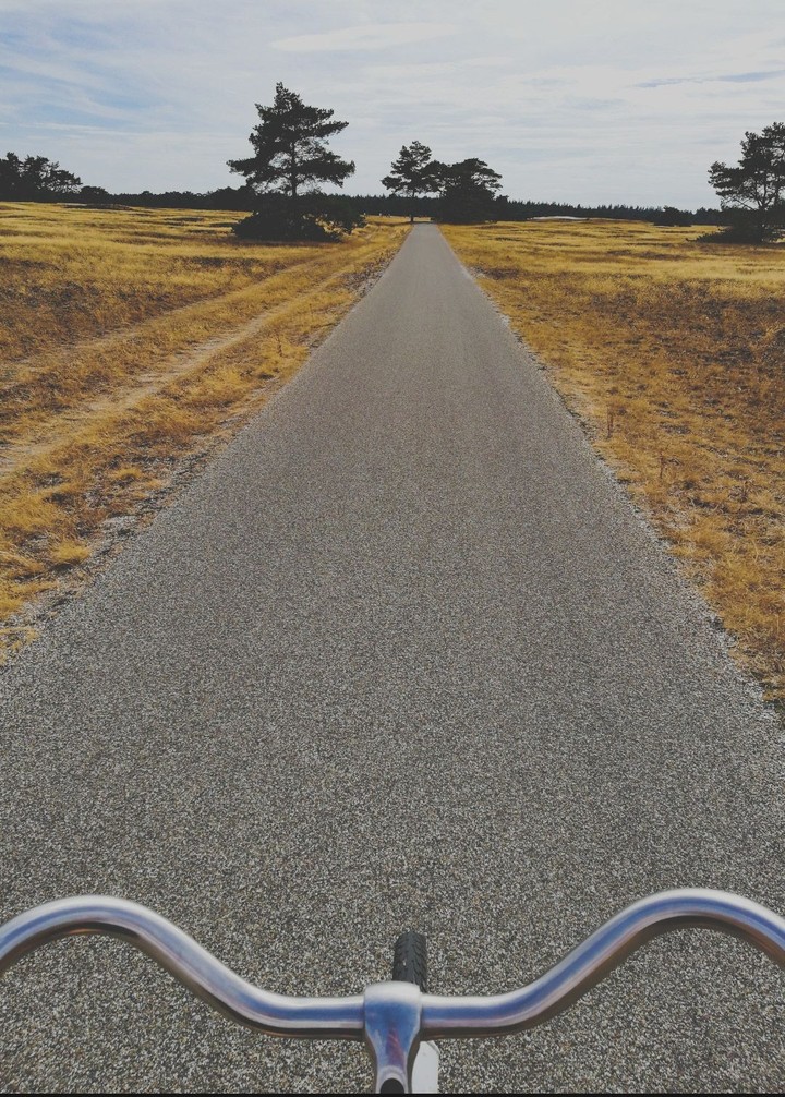 Ballade en vélo