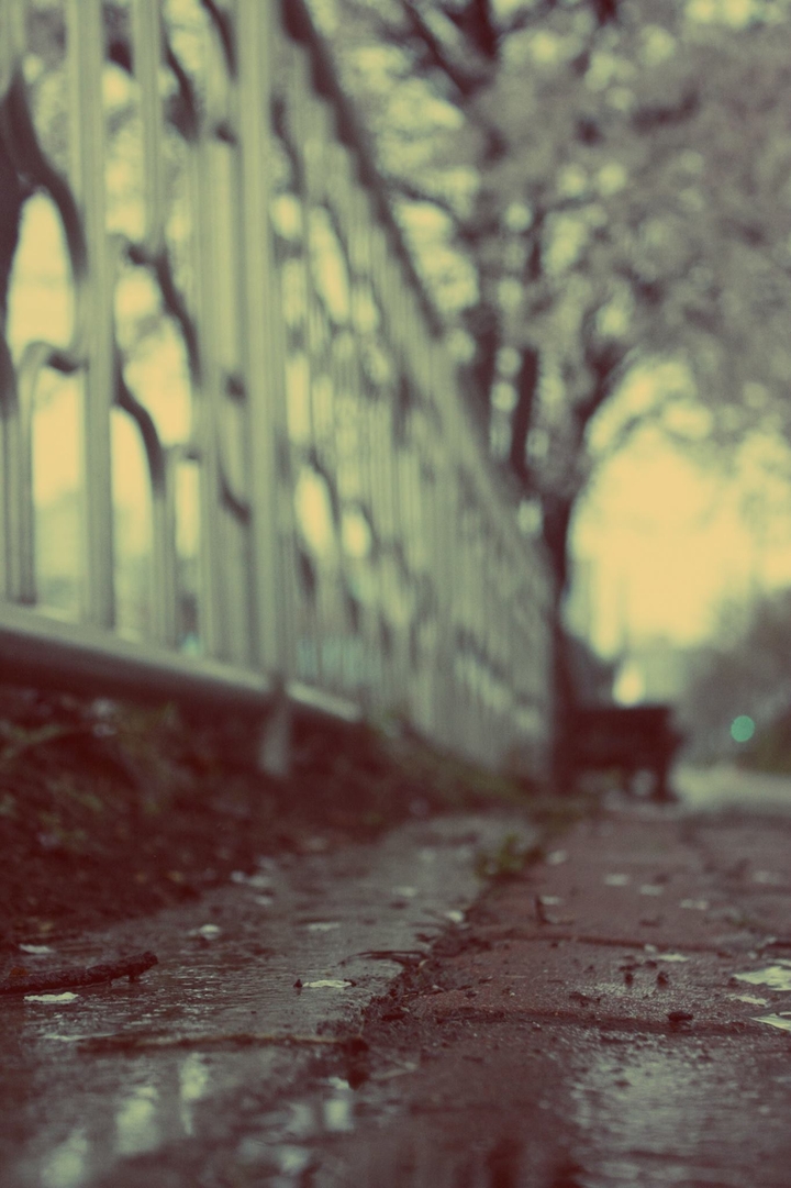 Without You