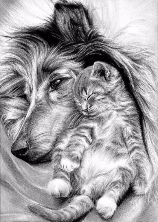 Рисунок карандашом