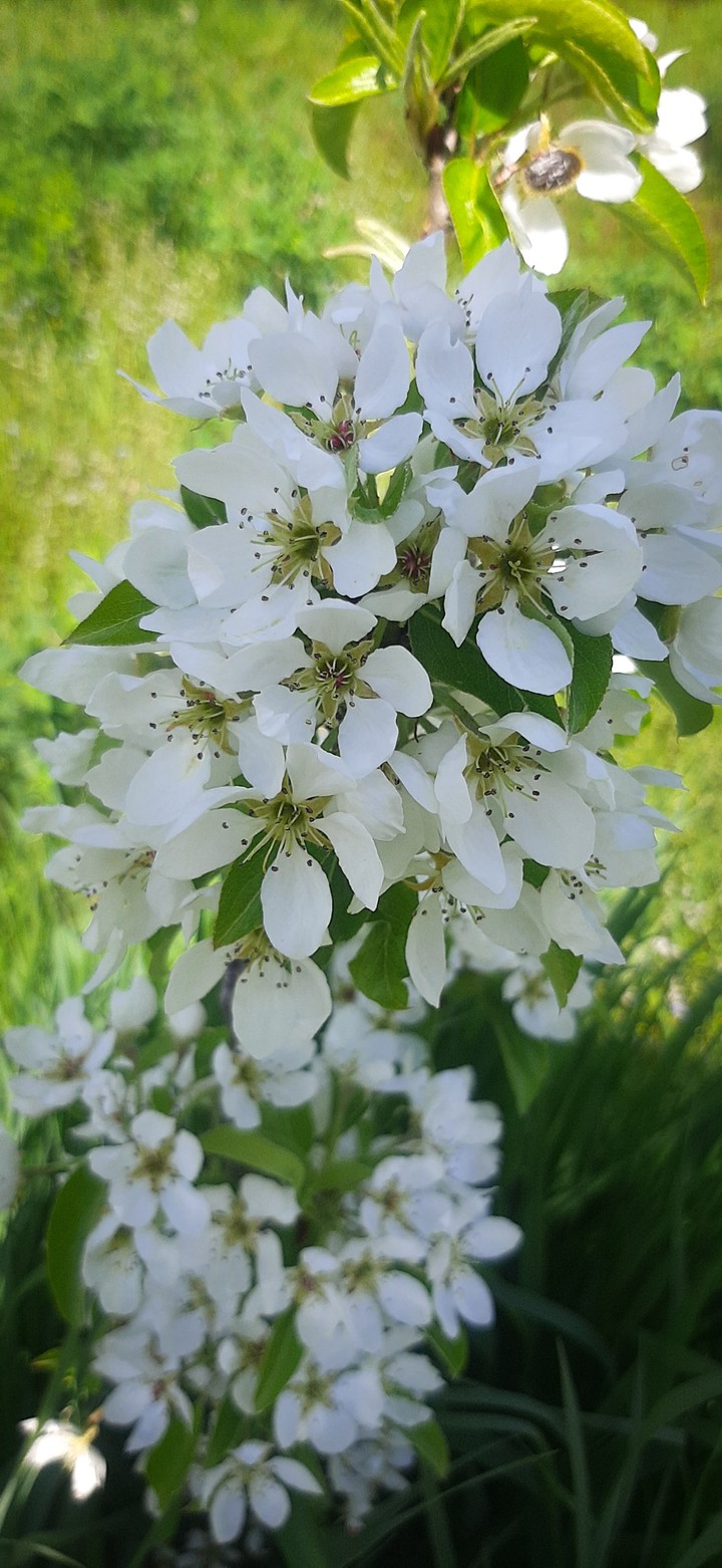 seeing nature makes us think how lucky we are