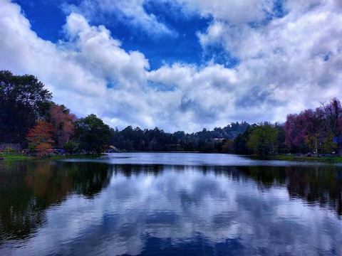 lake view
