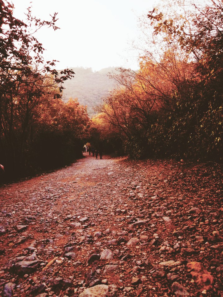 Fall