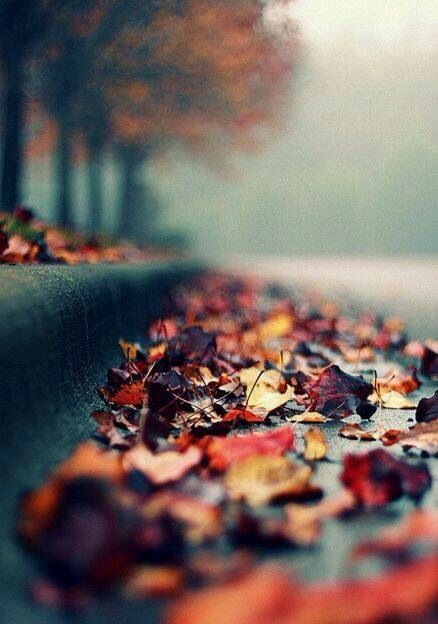 Automn