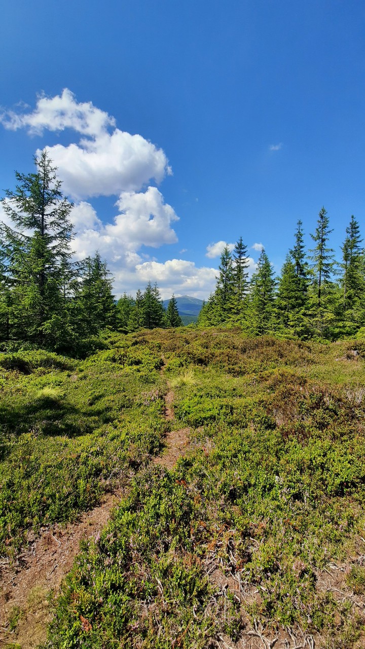 Czech, mountain Krkonoše