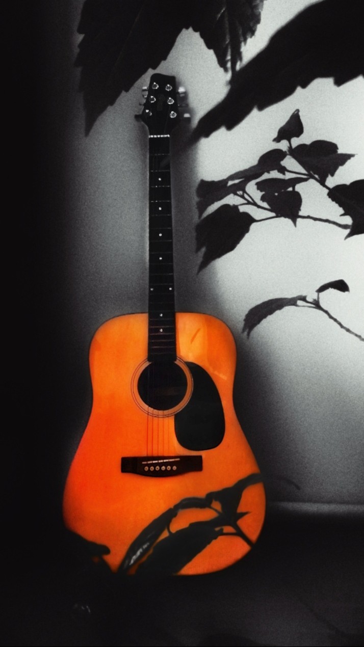 acoustic orange