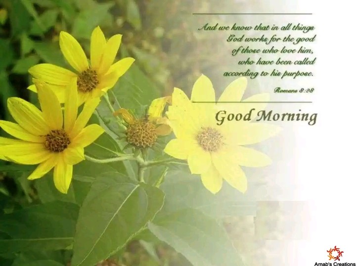 good morning