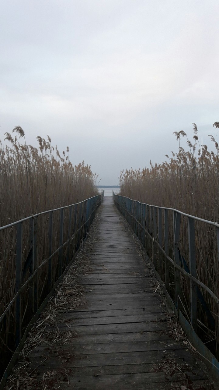 more interesting photos in the my profile