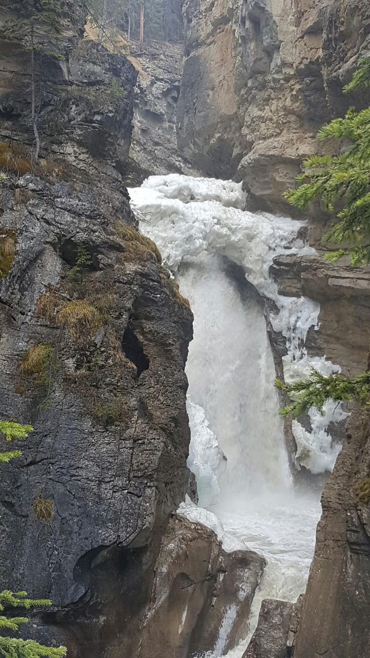 Johnston canyon