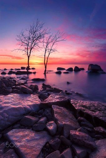 purple sunset