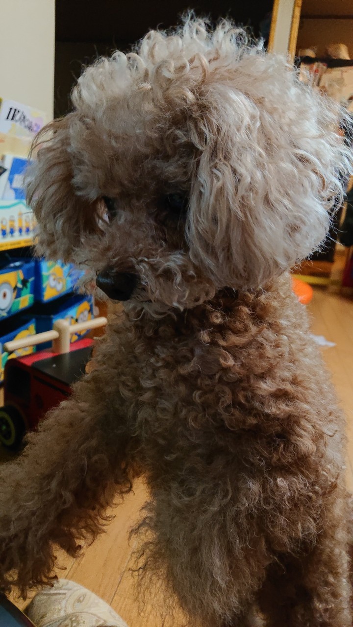 .