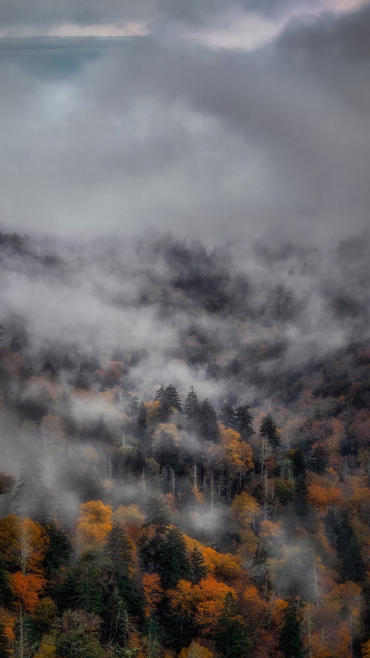 before winter