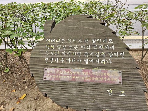 야구장과 공원