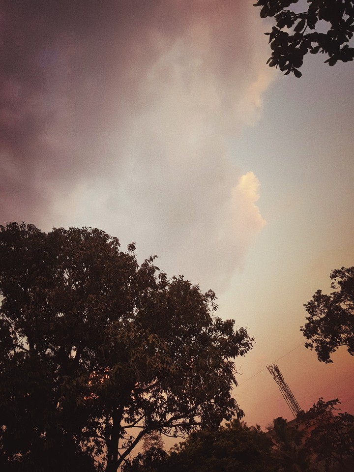 pleasant_evening
