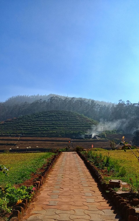 A walk with nature