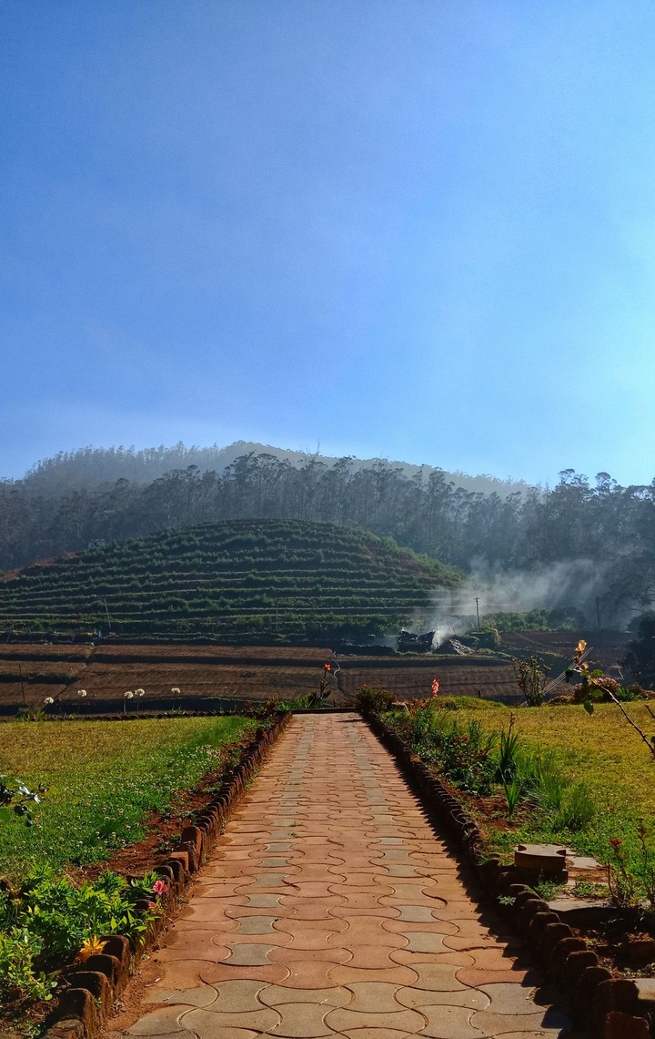 A walk with nature
