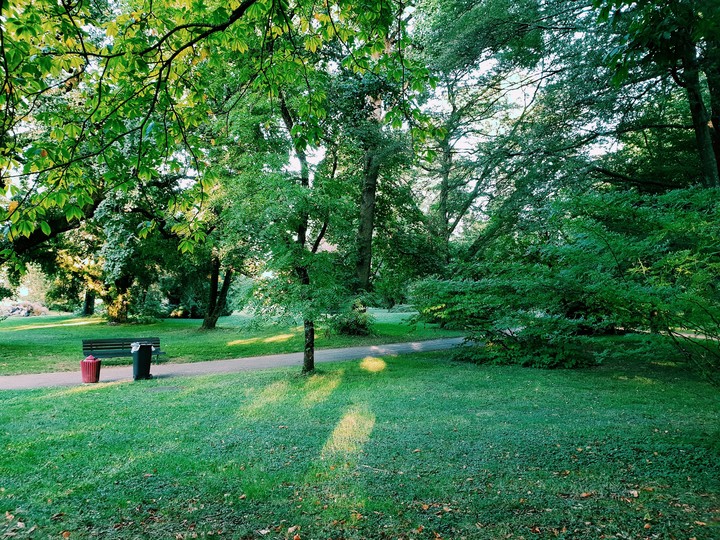 botanical garden