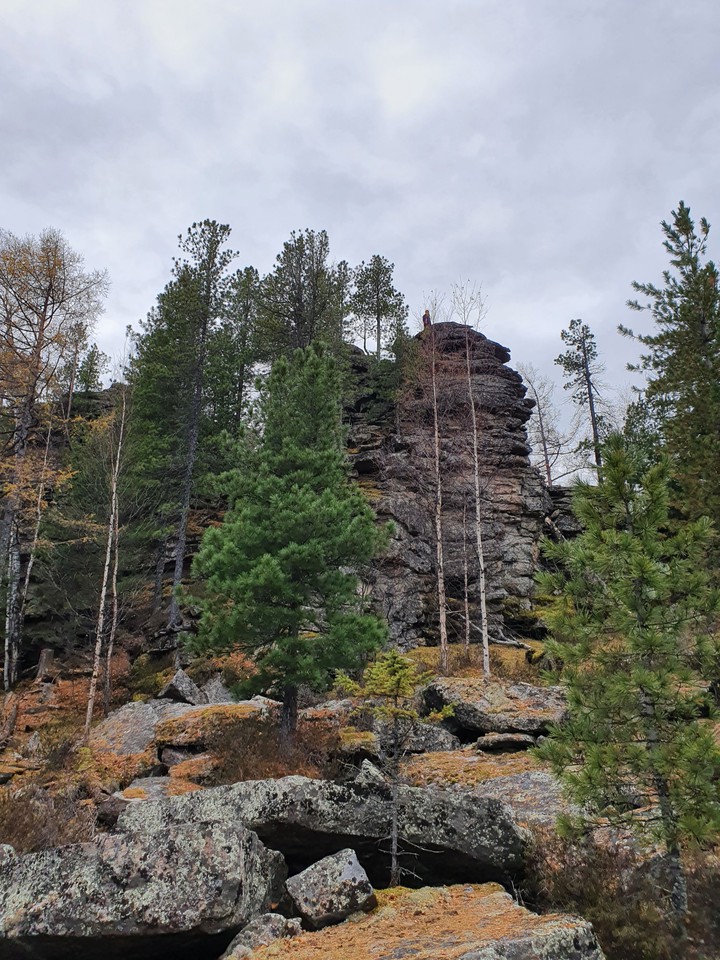 fall
