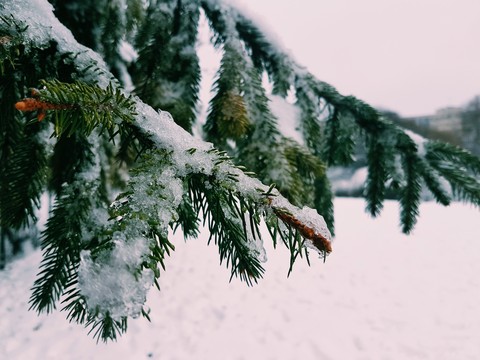 winter