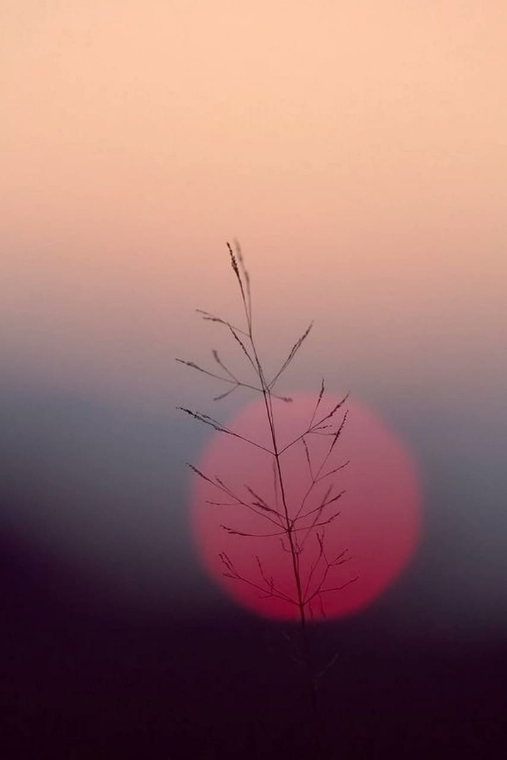 puesta de sol