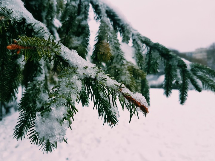 winter