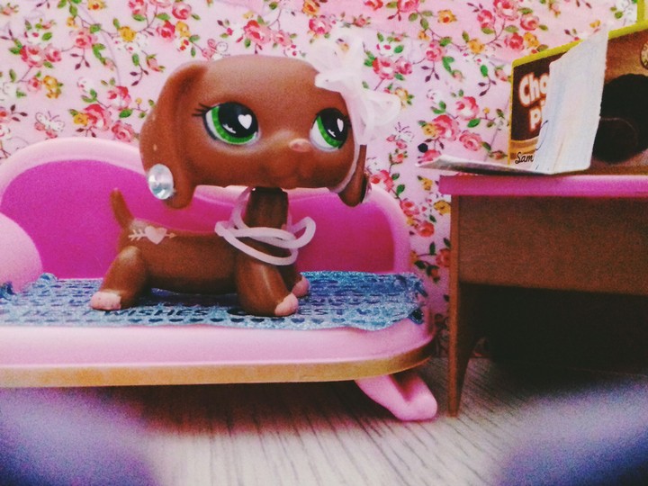 LPS