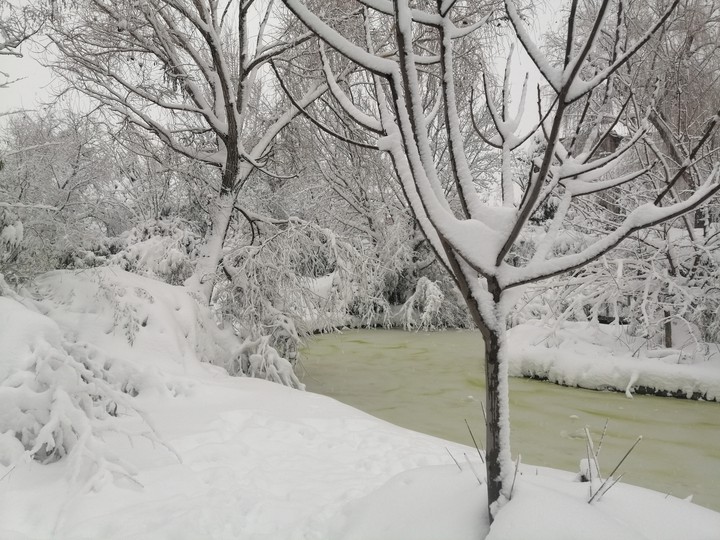 #Nieve Filomena