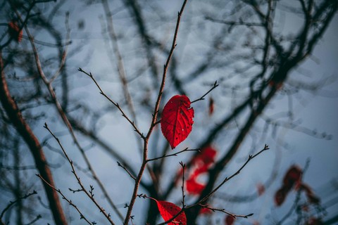 red....##
