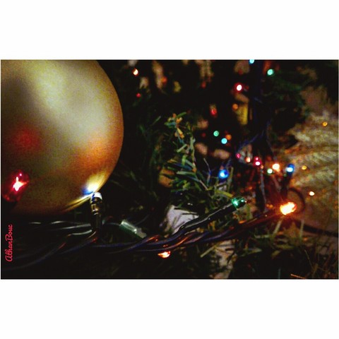 Christmas