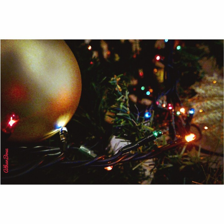 Christmas