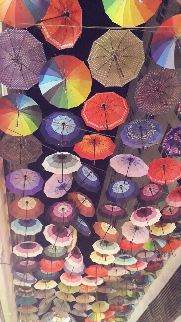 umbrella