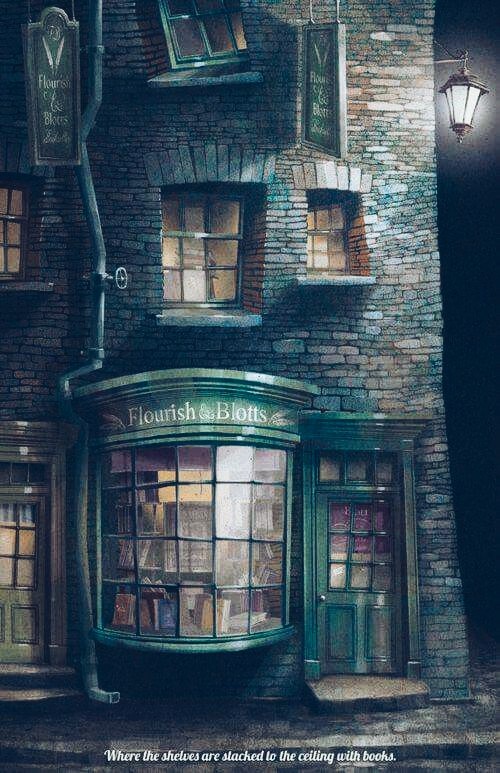 harry potter