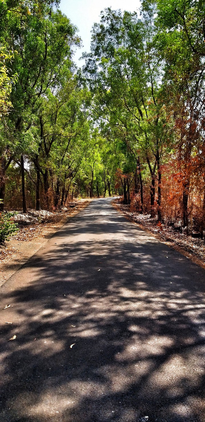 Path